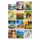 12 Photos 16 x 30 cm Standard
