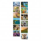 12 Photos 16 x 30 cm Standard